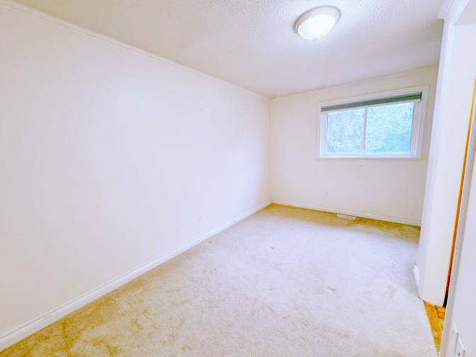 Lily's room