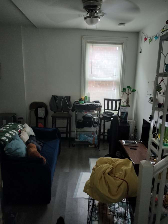 Trevor's room