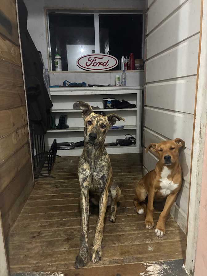 Hunter's room