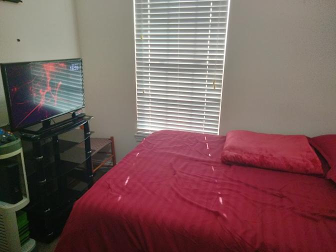 Roberto's room