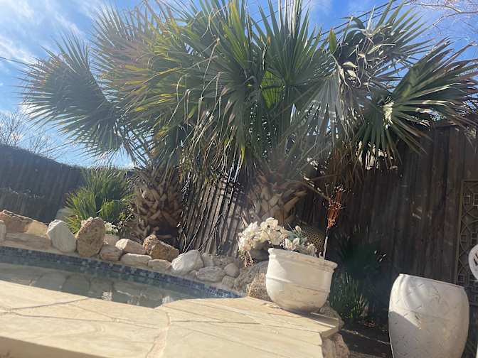 Julie's room