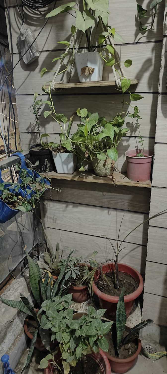 Prakhar's room
