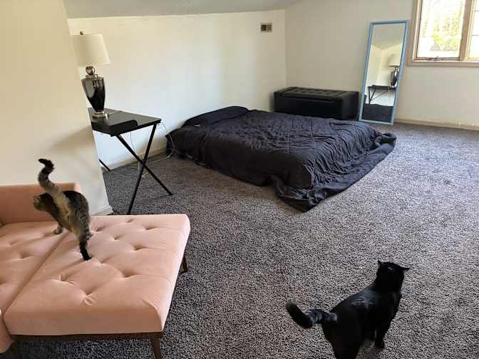 William's room