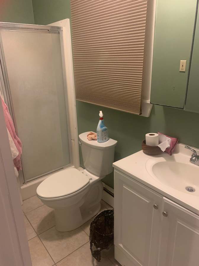 Cat's room