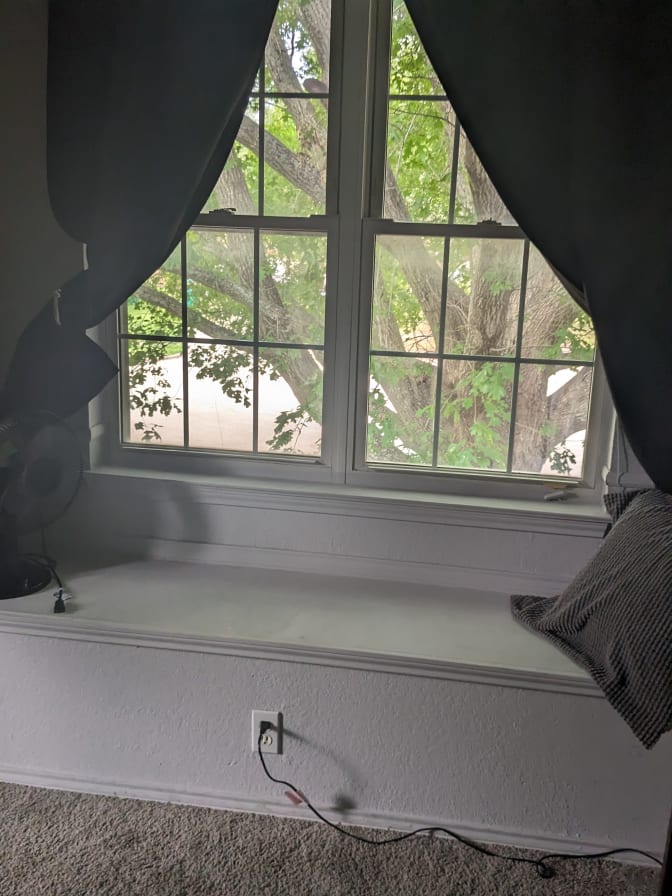 Susan Lee Shaffer's room
