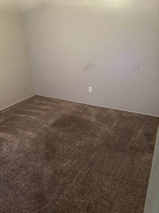 Neshelle's room
