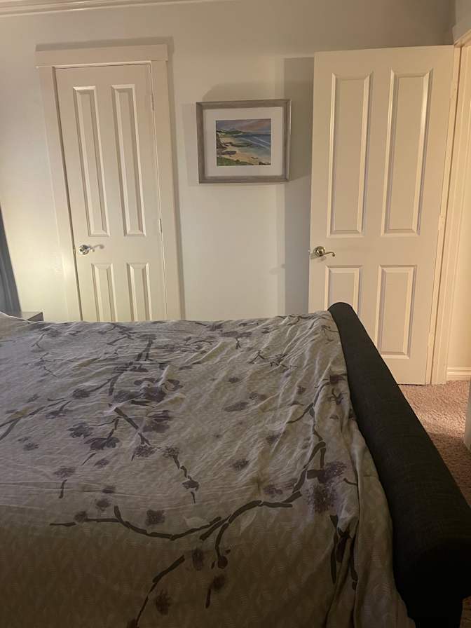 Lisa's room