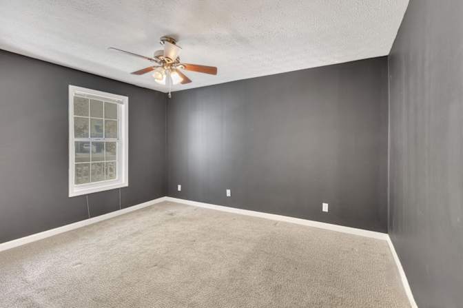 Alcove Rooms's room