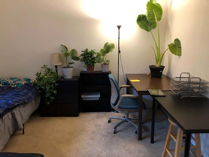 peter's room