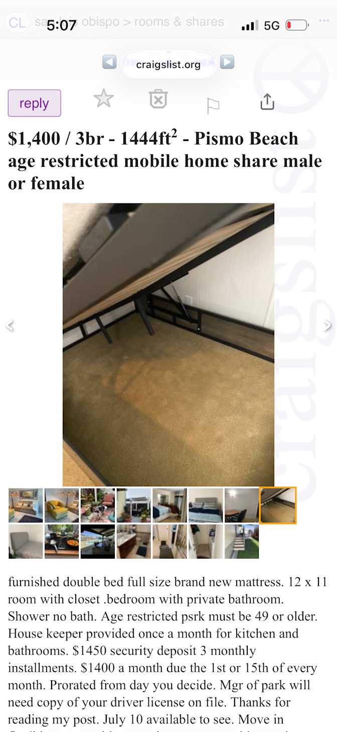 Shauna's room