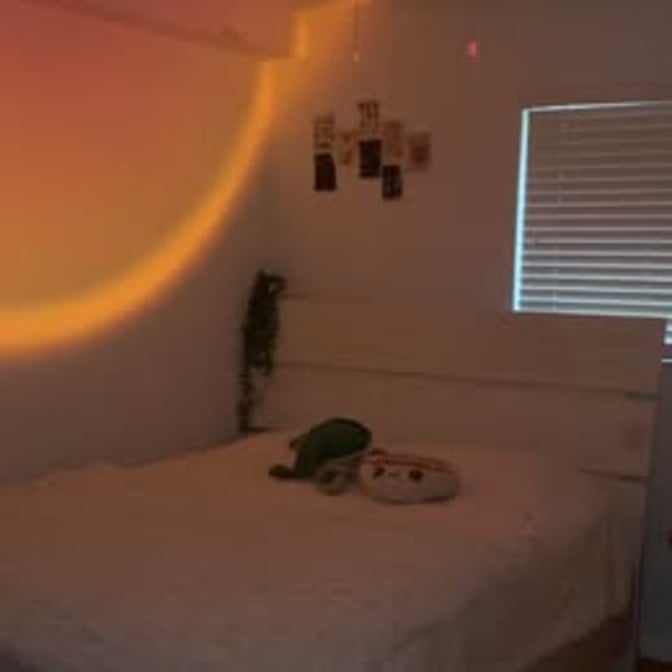Sofia's room