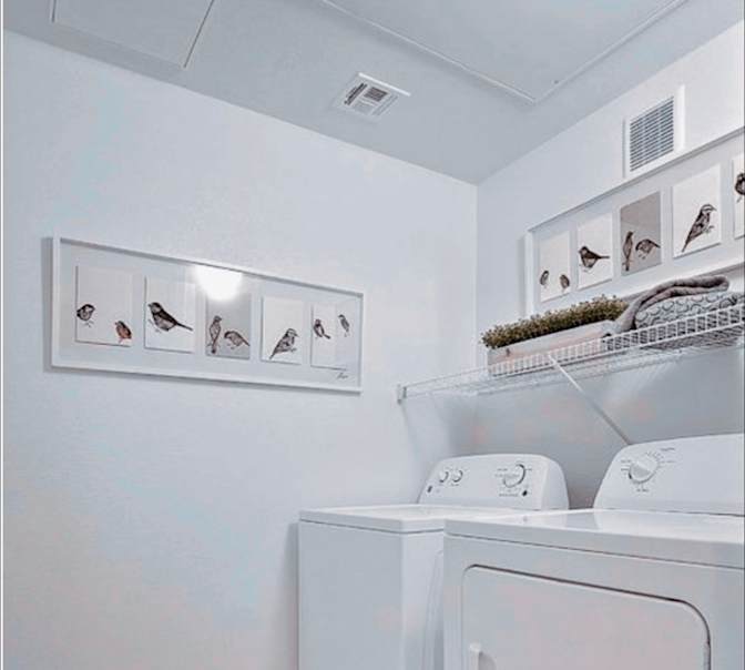 Hayde's room