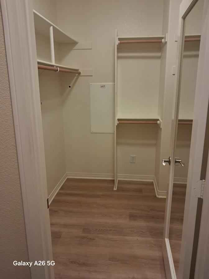 Hamid Daneshvari's room