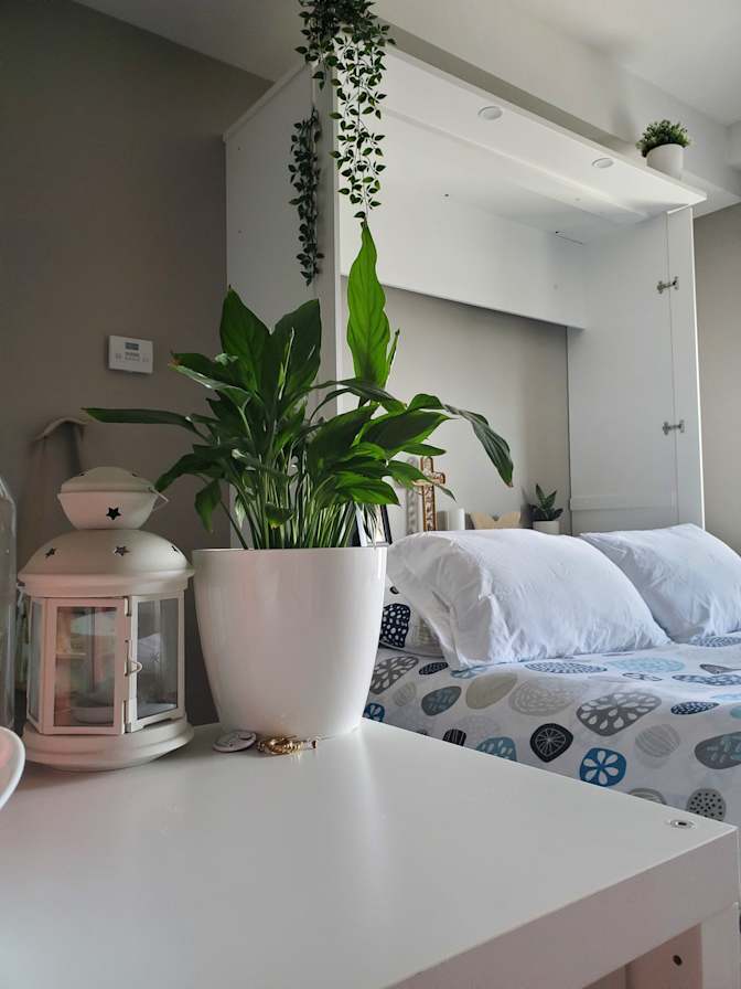 Jay's room