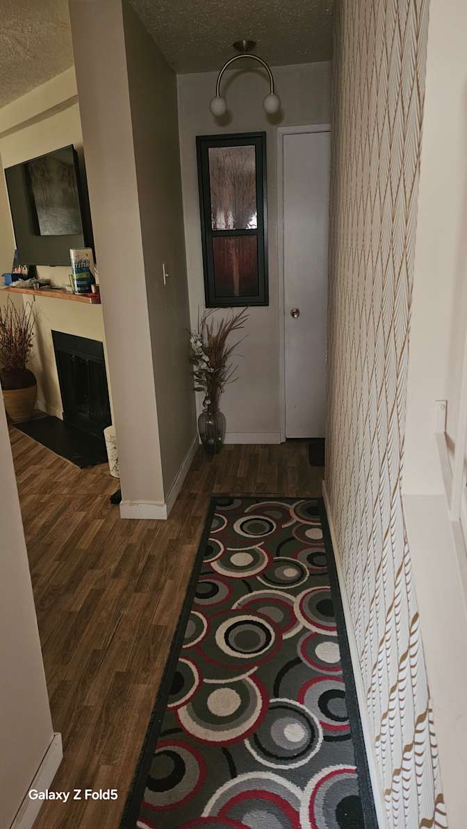 Nosheen's room