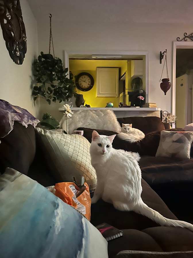 Tamara Lamontagne's room