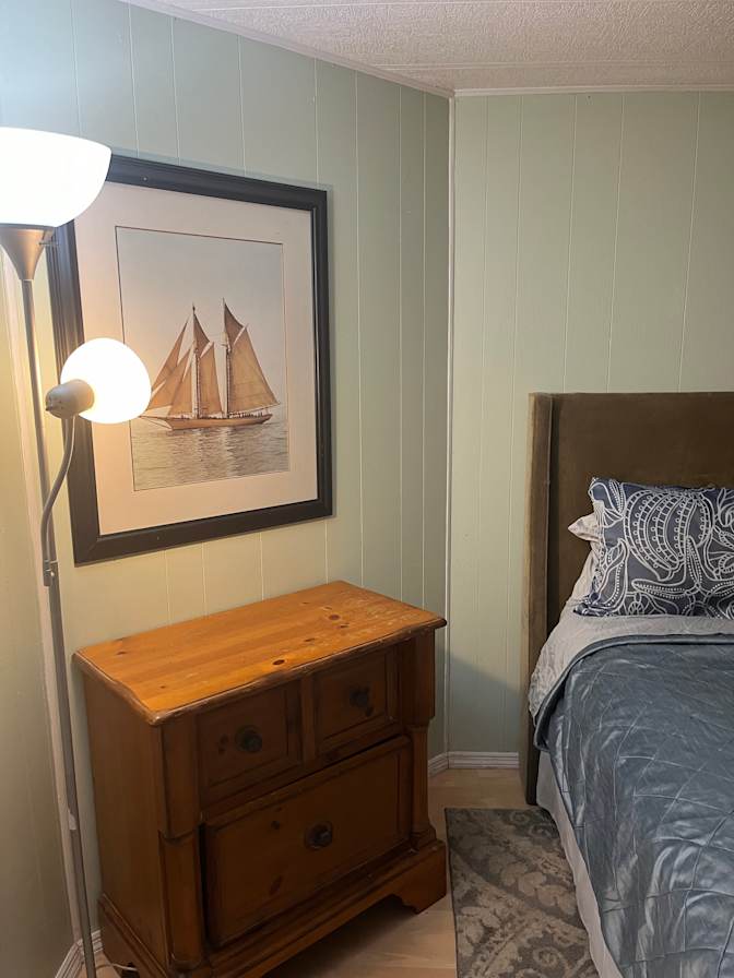 Aviva's room
