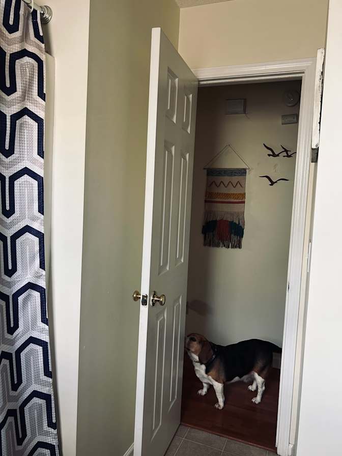 Mary's room