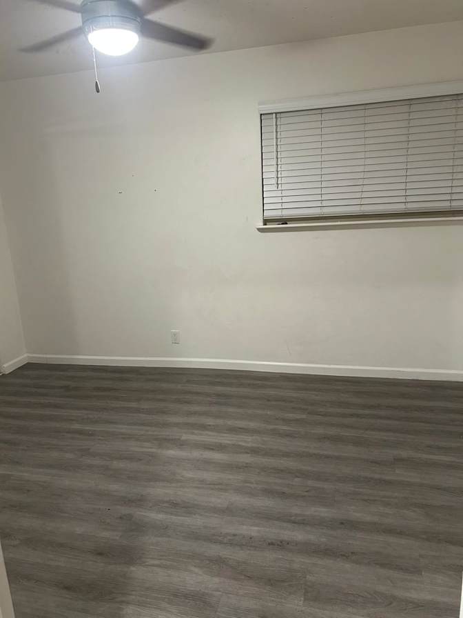Shayna's room