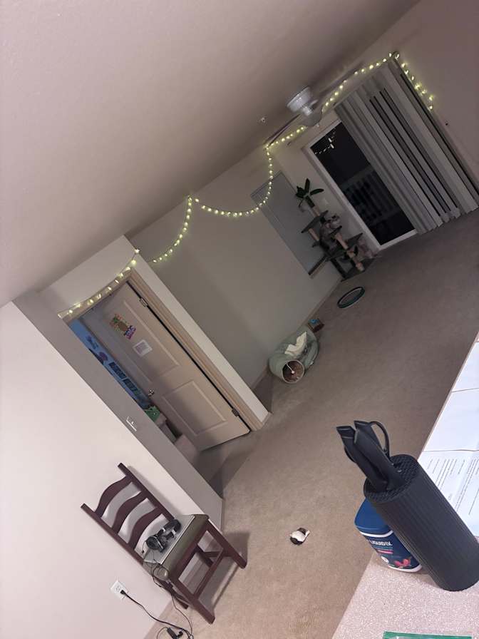 Mona's room