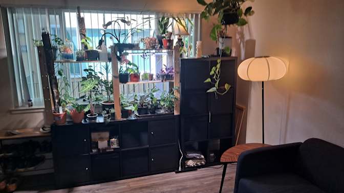 Gabriel's room