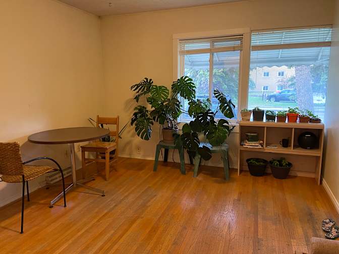 Ashley Deng's room