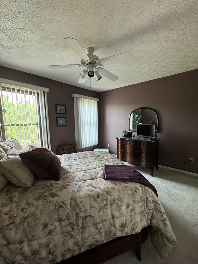 WFH professional's room
