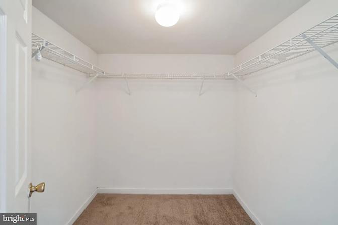 Ted's room