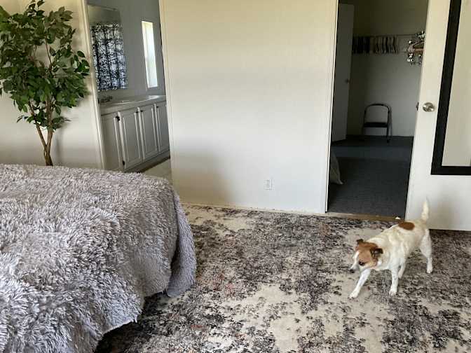 Treena Lynch's room