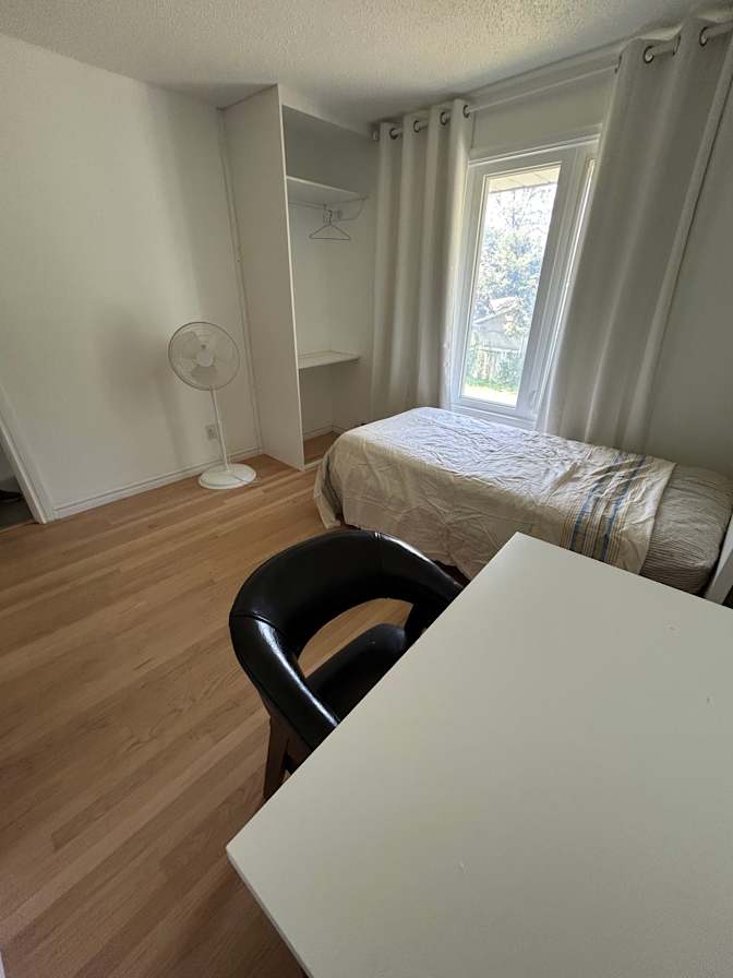 steve lejeune's room