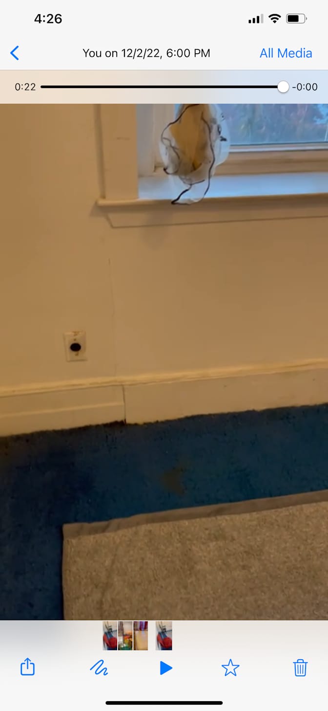 Naomi Brandon's room