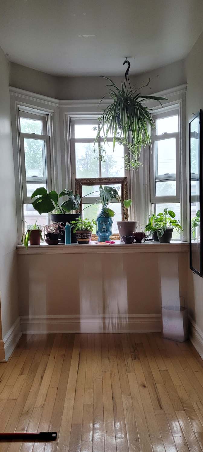 Katy MacDonald's room