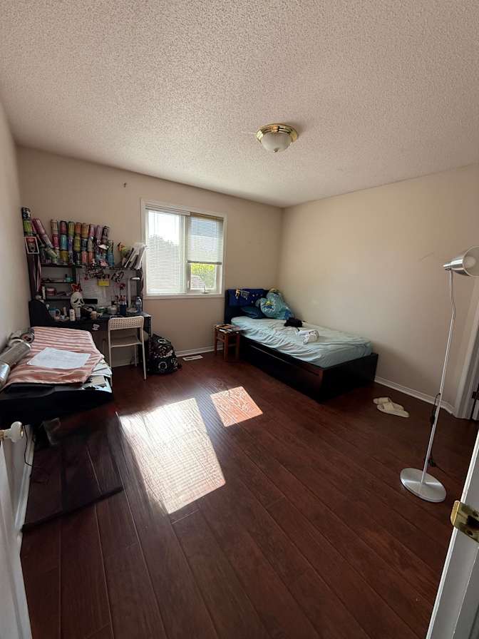Saeed's room