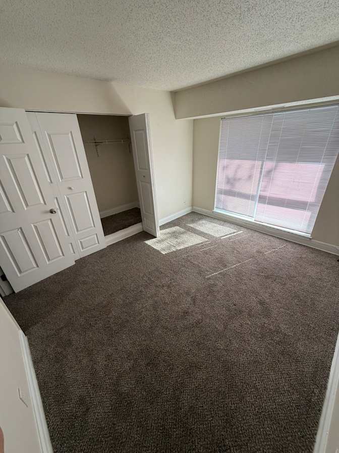 brandon's room