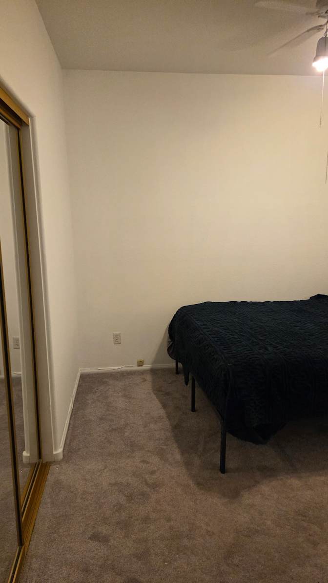 Shannon's room