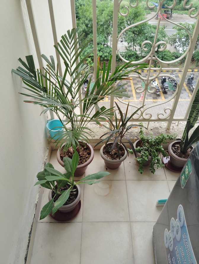 Aman's room