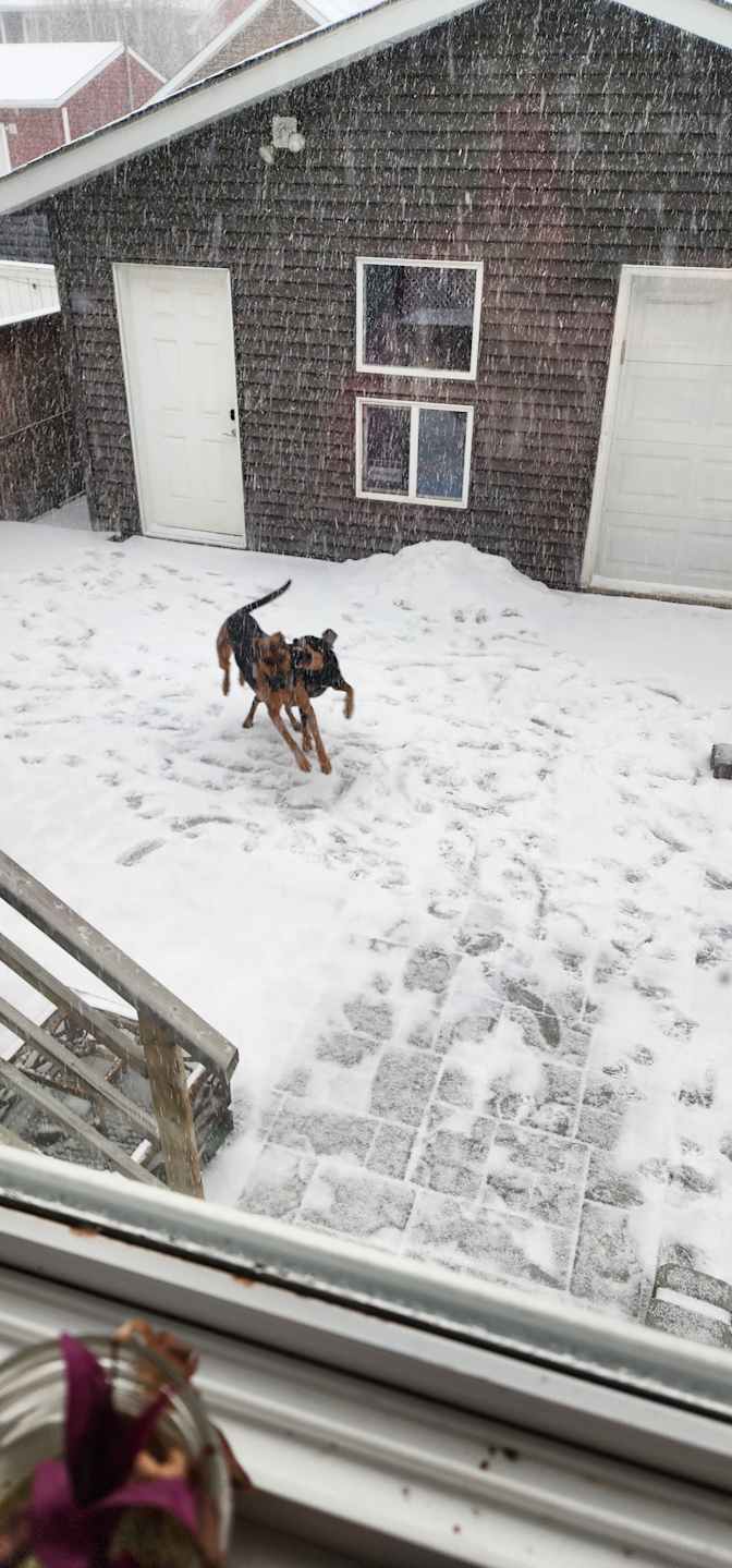 Stuart Kasperski's room