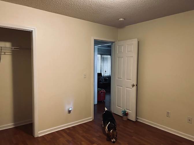 Mary's room