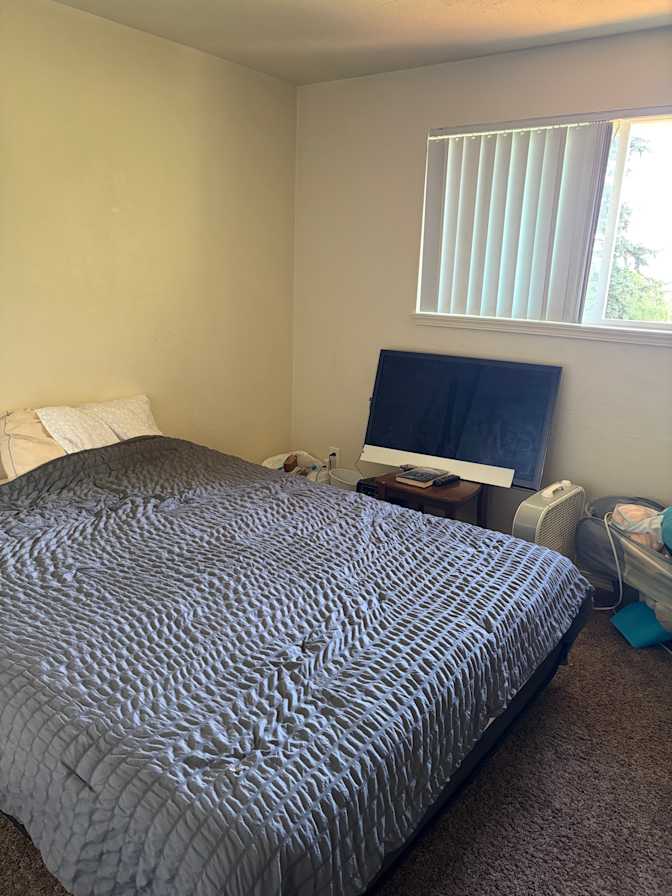 Sarah Craighead's room