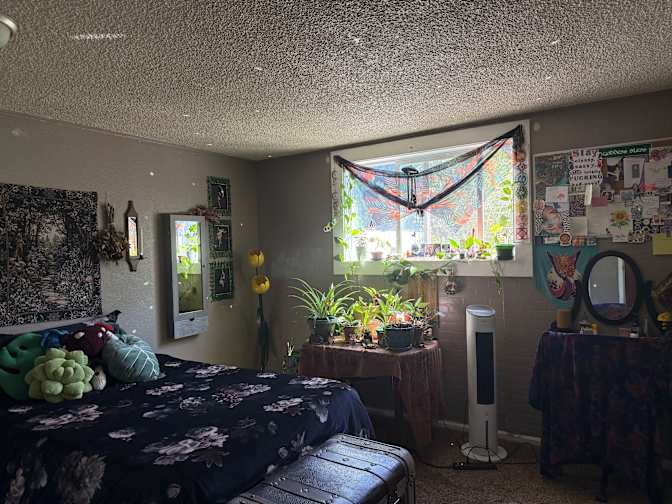 Hayli's room