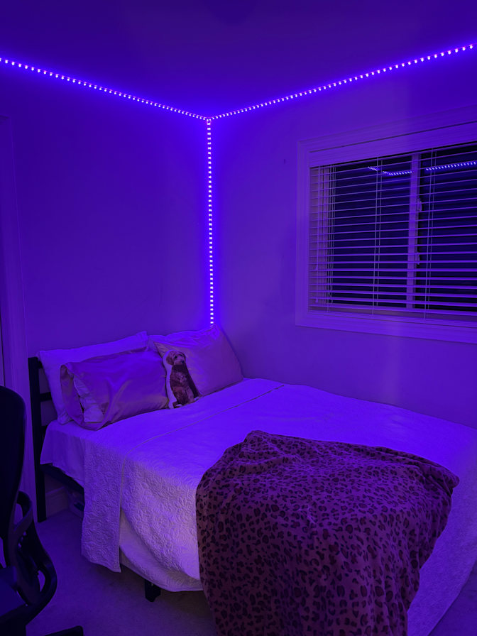 Yoshita Kumar's room