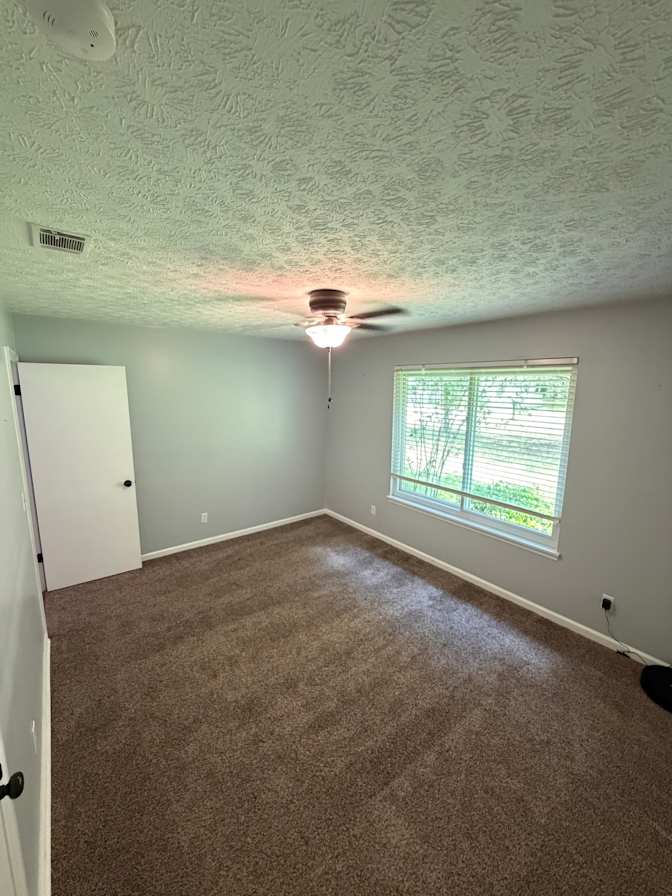 Shane's room