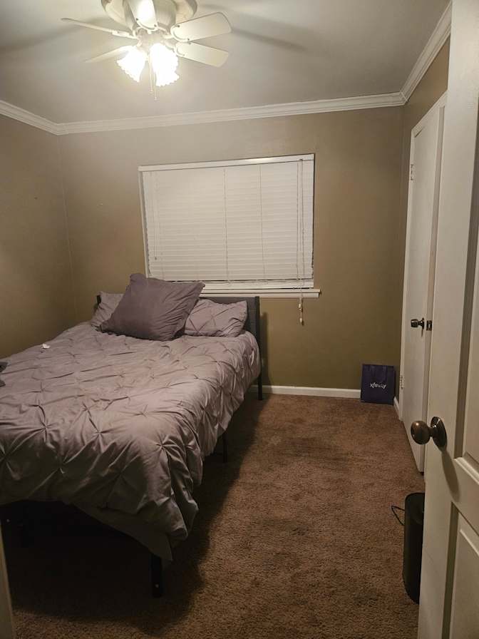 Shevarick D Paskel's room