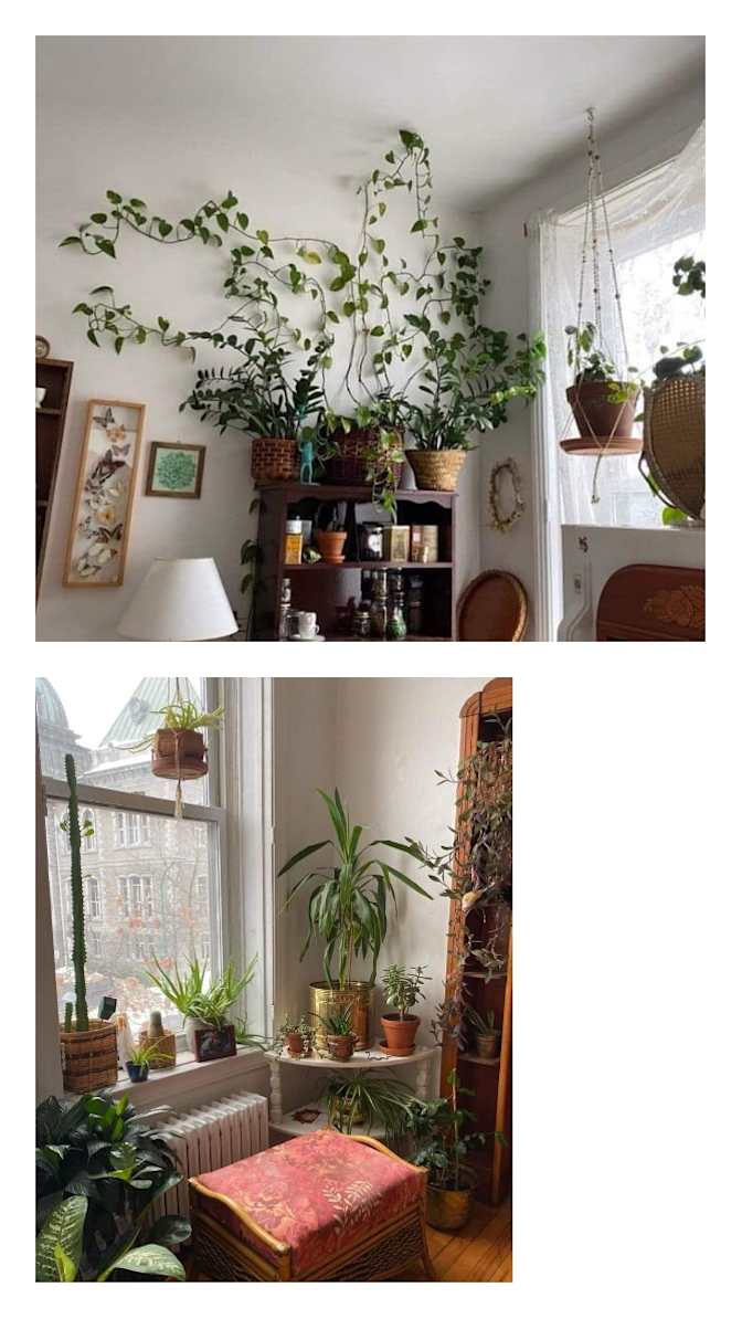 Emily D's room