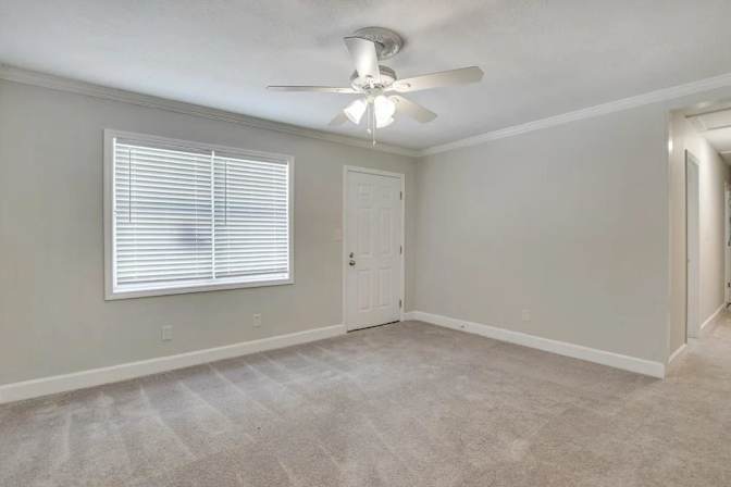mark's room
