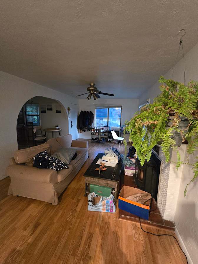 Felix's room