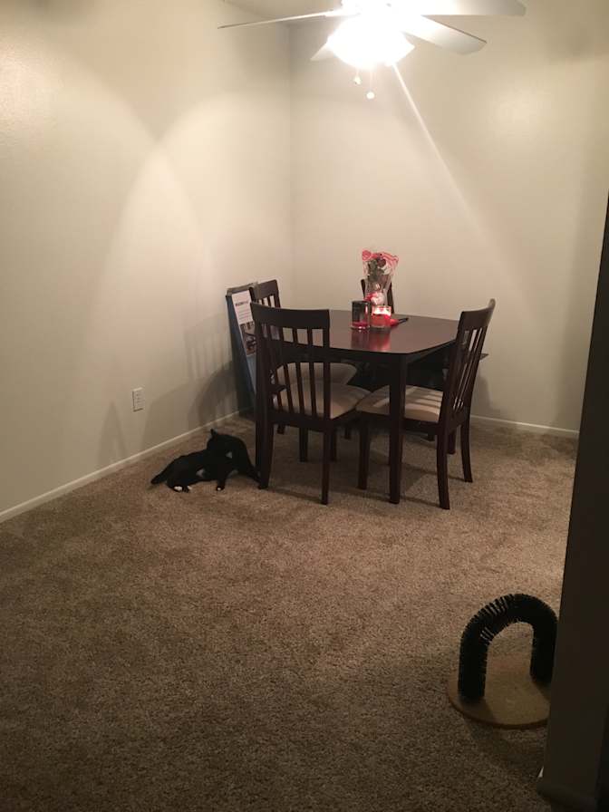 Monique's room