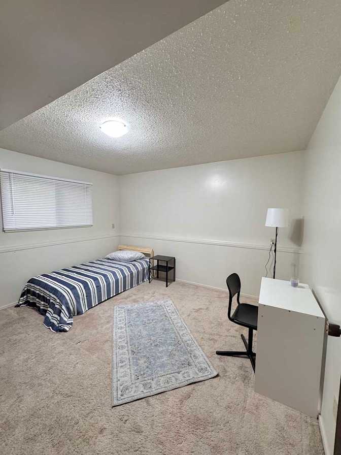Peyman Zar's room
