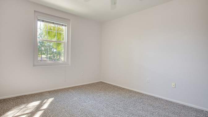 Harvey's room