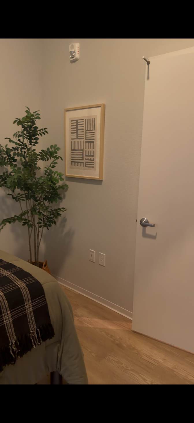 Mandy's room